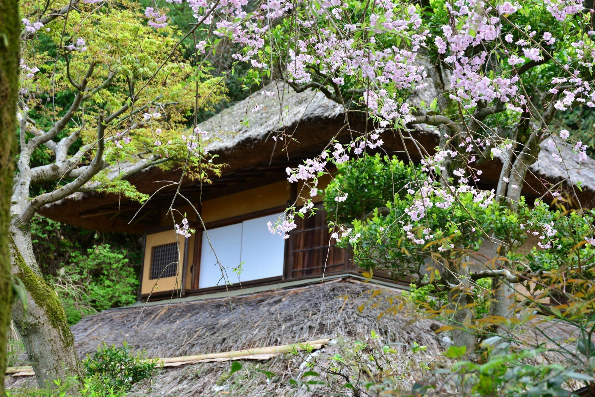 Kona Besso Hotel Izunokuni Kültér fotó